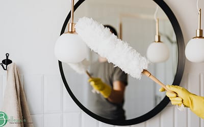 Images for bloog (1) Professional house cleaning service in Gold River, CA - How to Prevent Spring Dust in Gold River, CA Homes