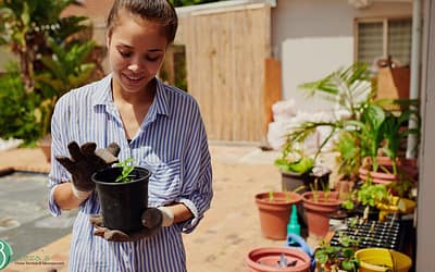 Images for bloog Professional house cleaning service in Gold River, CA - What Happens When You Skip Regular Cleaning in Gold River, CA?