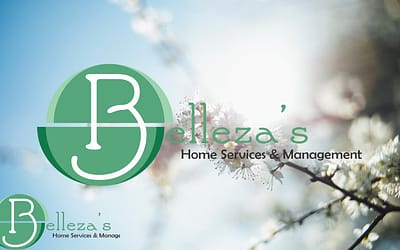 Design sem nome (2) How Spring Light Reveals Dust You Didnβt Notice Before - Bellezas Home Services blog