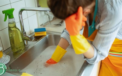 Design sem nome (3) Spring Cleaning Mistakes Many Gold River Homeowners Make - Bellezas Home Services