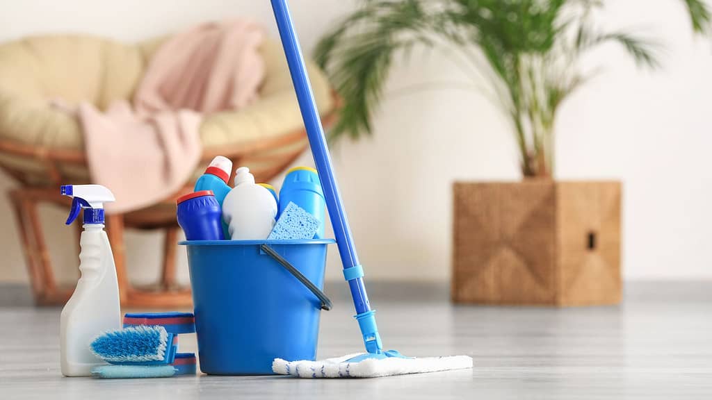 home cleaning supplies