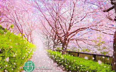 Design sem nome (3) How Longer Spring Days Help You Maintain a Cleaner Home - Bellezas Home Services