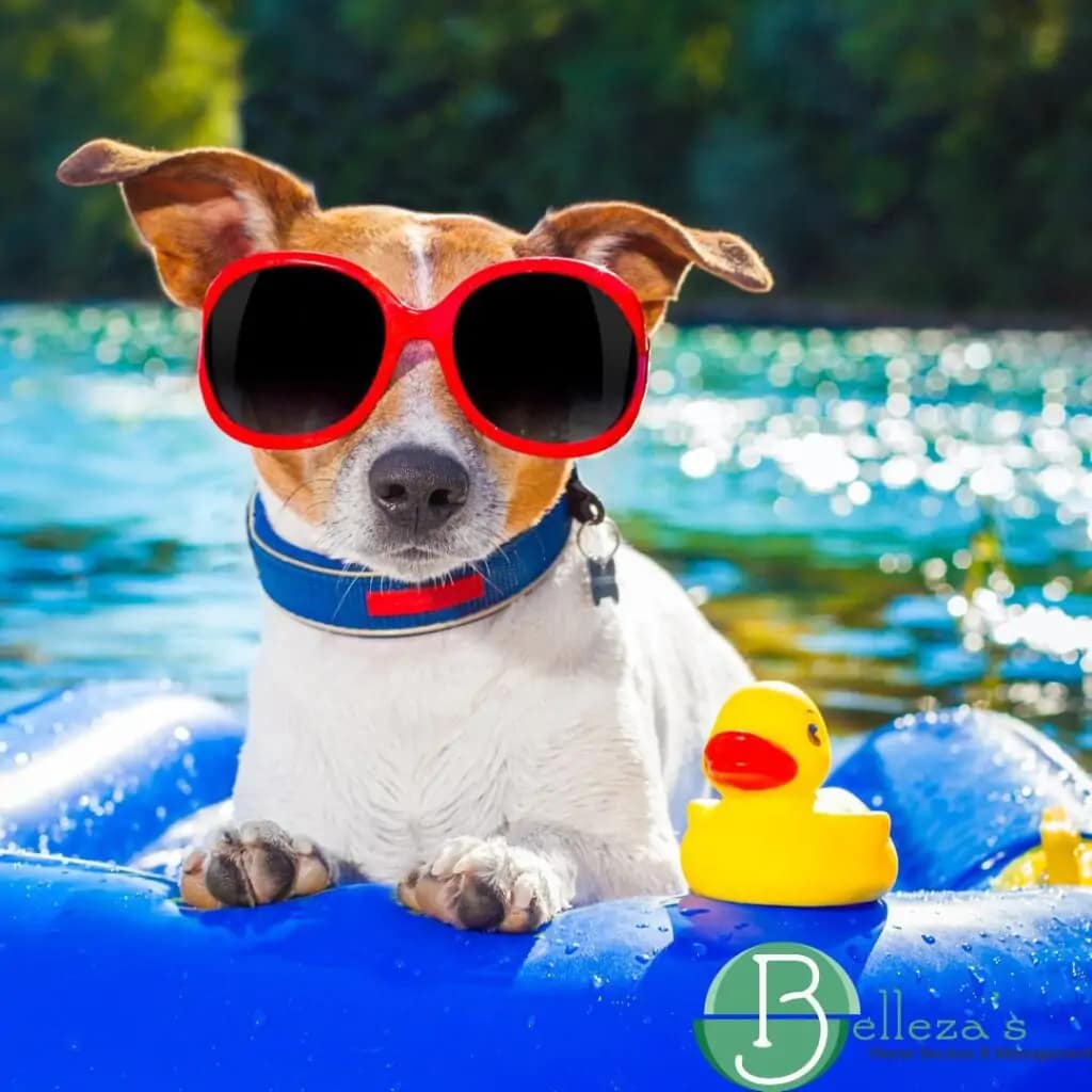 Sacramento Summer Bliss! Beat Cleaning Chaos, Embrace Sunshine with Belleza's Home Services