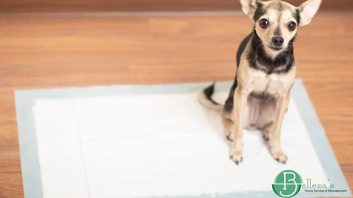 often should you deep clean your home in sacramento? Sacramento CA